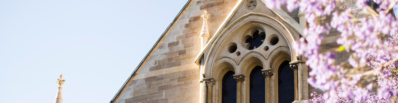 North Terrace campus jacarandas in spring