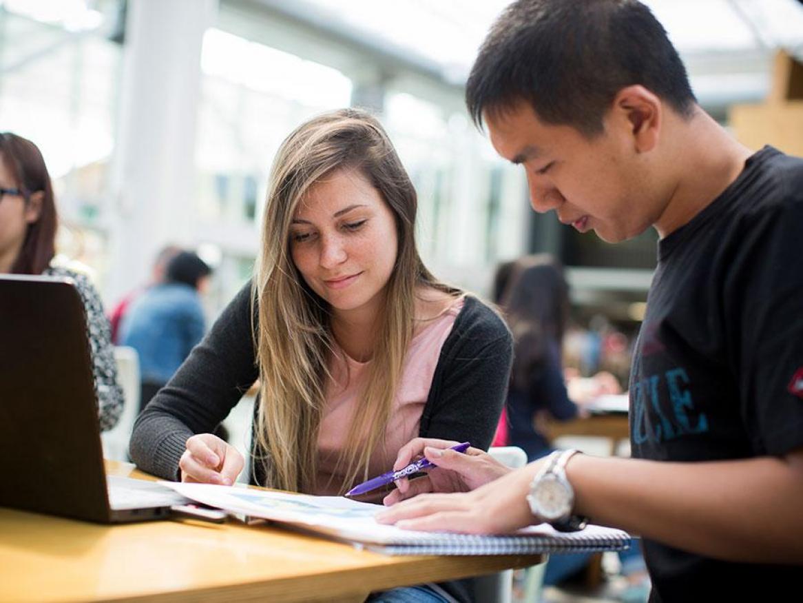 Group students studying in the hub